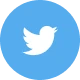 icon-twitter